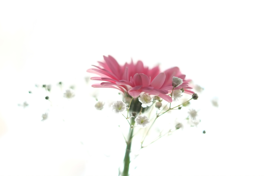f:id:elmikamino:20140331085445j:image:w500