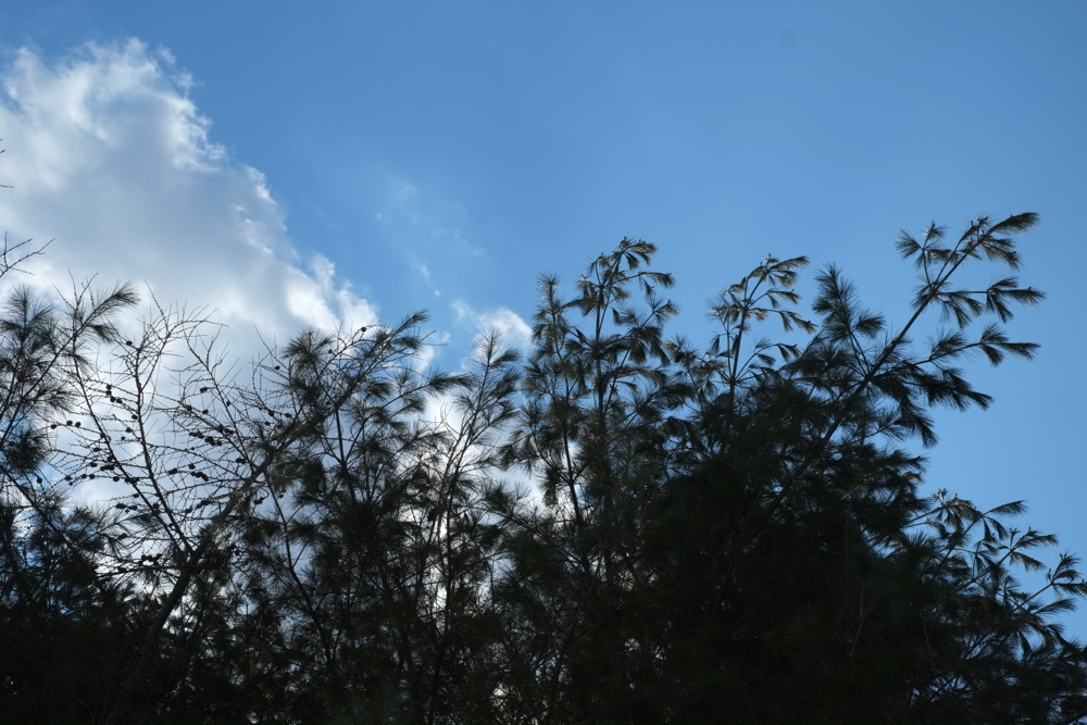 f:id:elmikamino:20140401092450j:image:w500