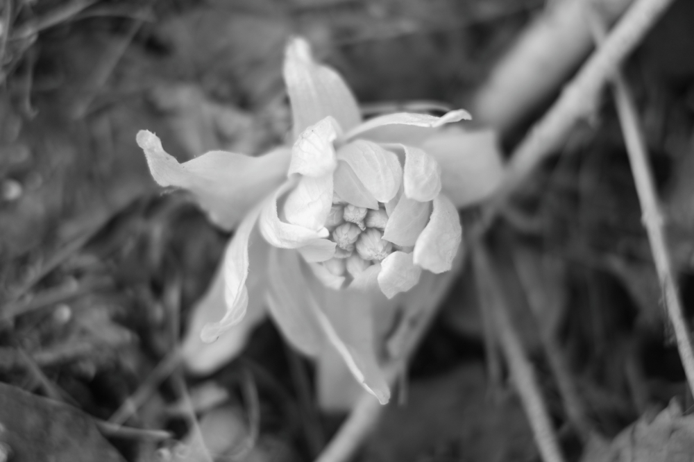 f:id:elmikamino:20140403084458j:image:w500