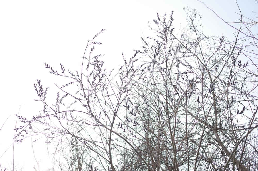 f:id:elmikamino:20140403115520j:image:w500