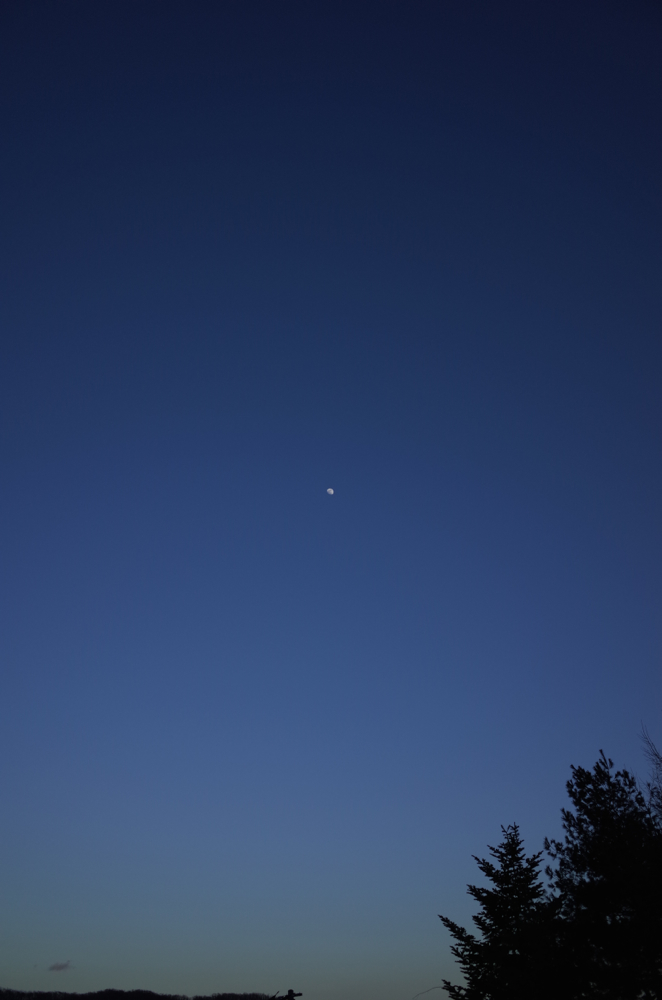f:id:elmikamino:20140411174625j:image:h500