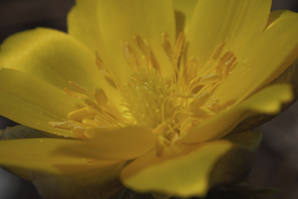 f:id:elmikamino:20140421113116j:image:w500