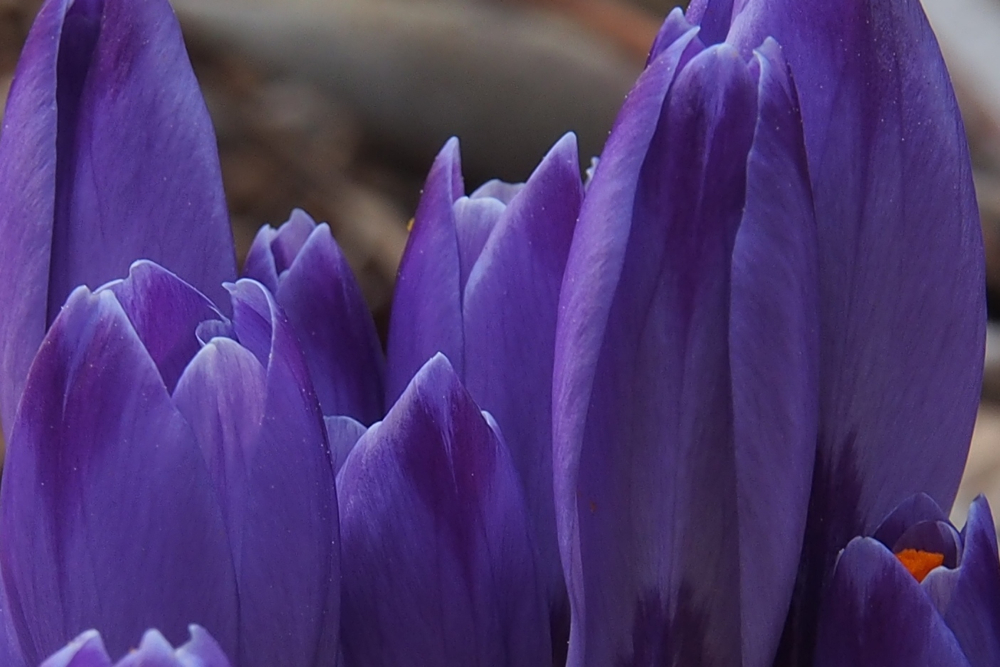 f:id:elmikamino:20140427065107j:image:w500