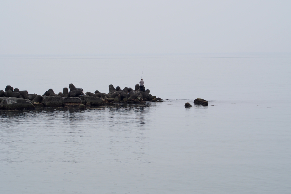 f:id:elmikamino:20140427113708j:image:w500