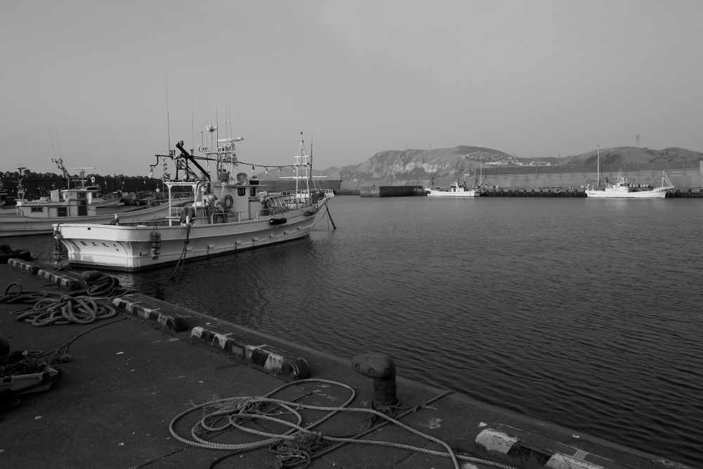 f:id:elmikamino:20140428062456j:image:w500
