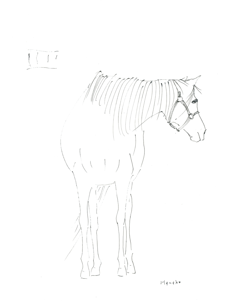 f:id:elmikamino:20140429220334j:image:h500