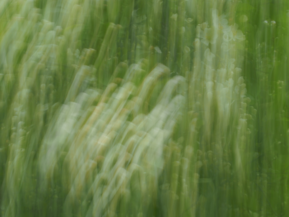 f:id:elmikamino:20140526091758j:image:w500