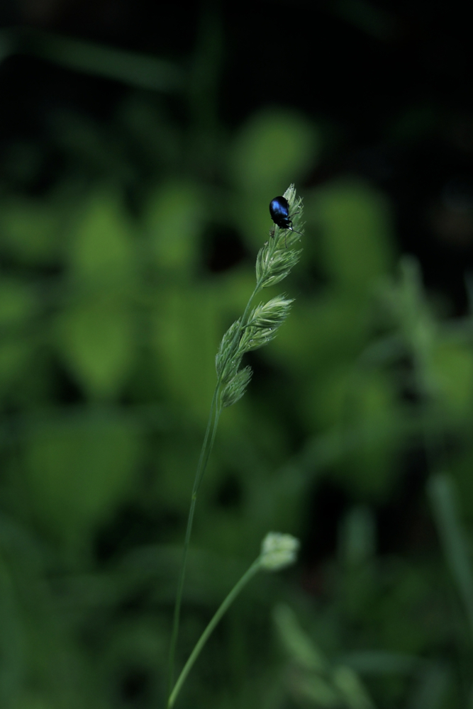 f:id:elmikamino:20140609122411j:image:h500