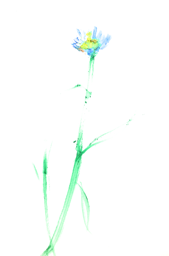 f:id:elmikamino:20140609184117j:image:h500