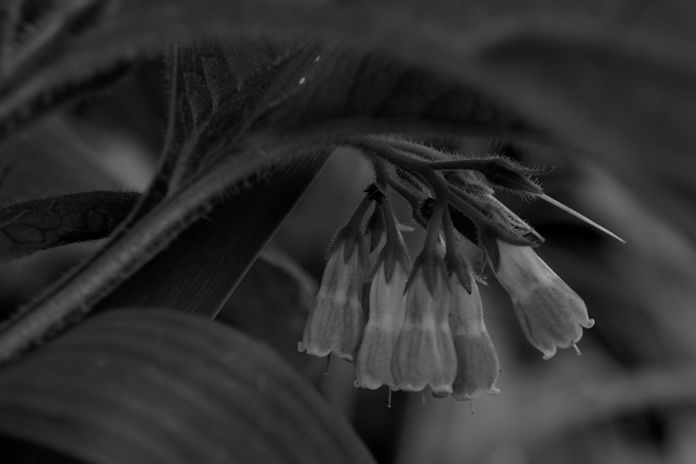 f:id:elmikamino:20140612100037j:image:w500