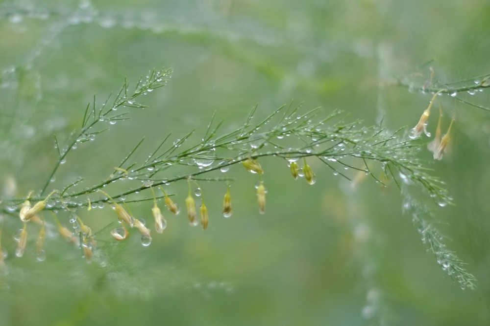 f:id:elmikamino:20140613115952j:image:w500