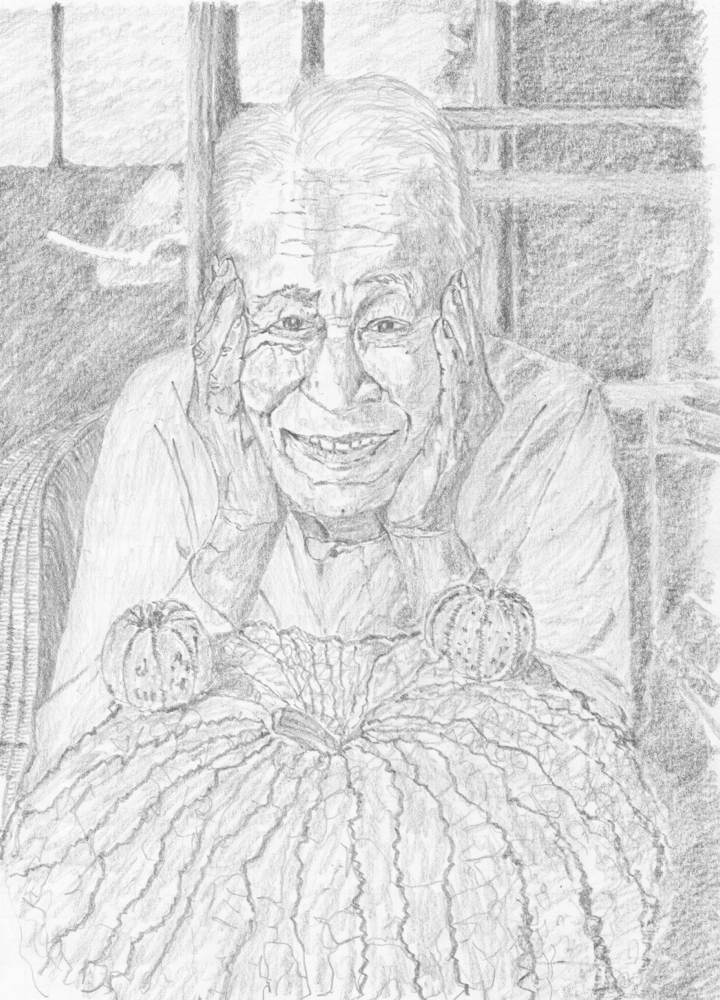 f:id:elmikamino:20140626215010j:image:w330