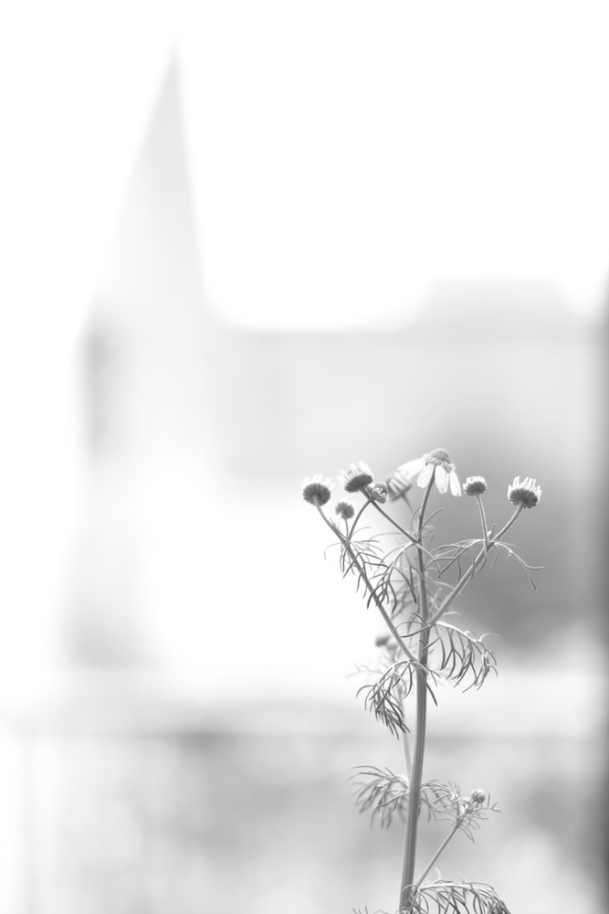 f:id:elmikamino:20140701090840j:image:h500