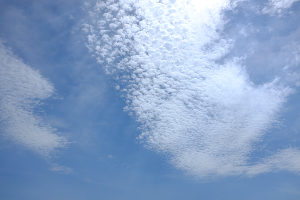 f:id:elmikamino:20140722095741j:image:w500