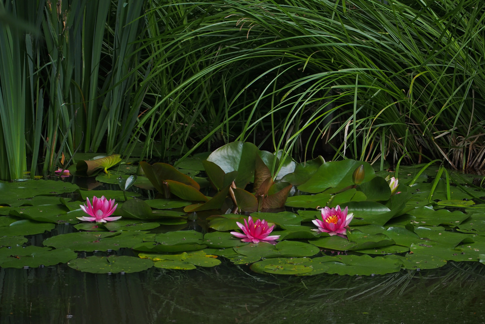 f:id:elmikamino:20140724110543j:image:w500