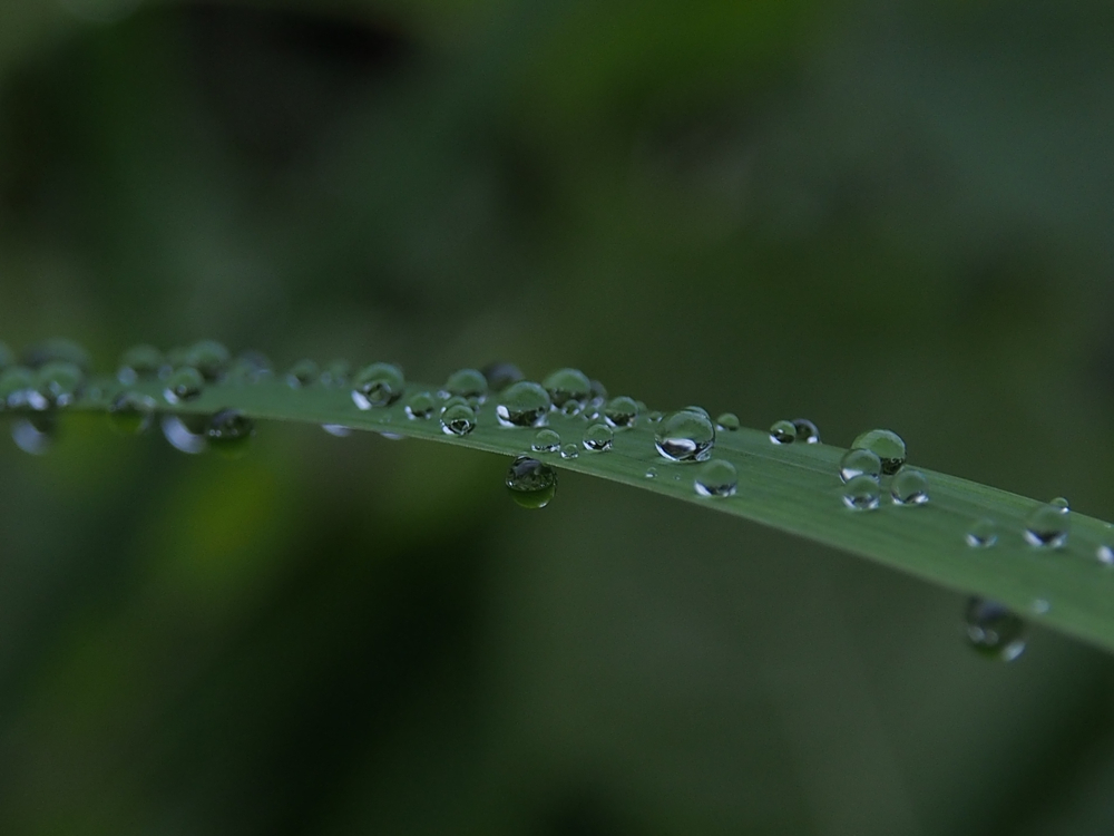 f:id:elmikamino:20140806080551j:image:w500