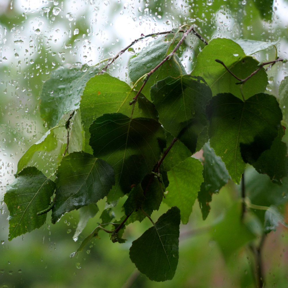 f:id:elmikamino:20140819095532j:image:w450