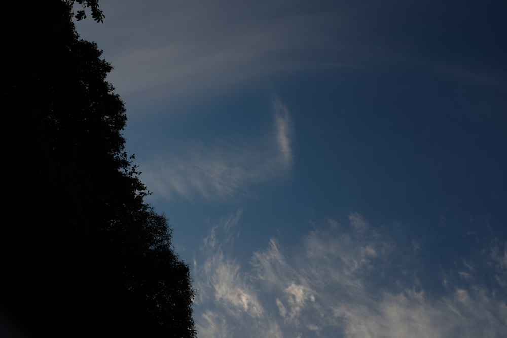 f:id:elmikamino:20141005165253j:image:w500