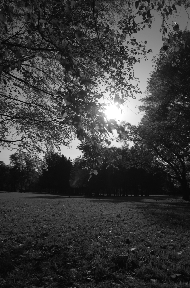 f:id:elmikamino:20141012145034j:image:h500