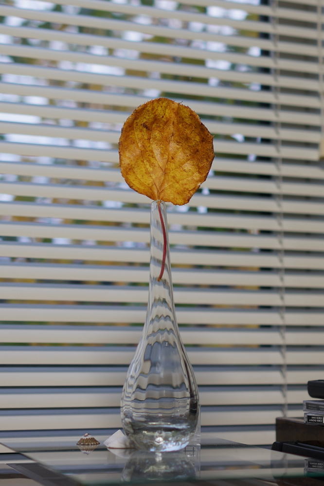 f:id:elmikamino:20141013164831j:image:h500