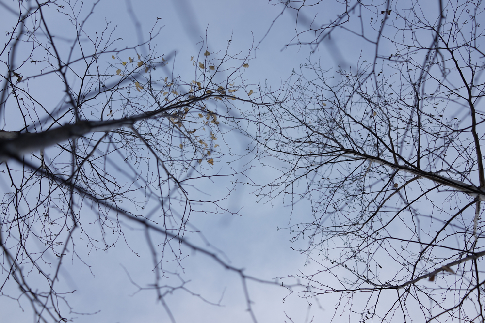f:id:elmikamino:20141103142224j:image:w500