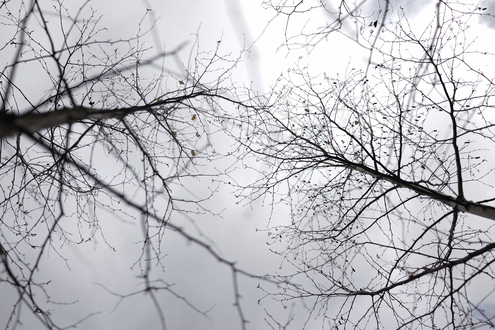f:id:elmikamino:20141107094743j:image:w500