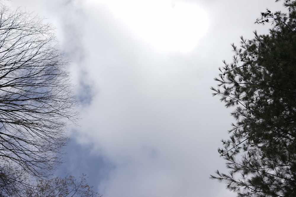 f:id:elmikamino:20141107095006j:image:w500