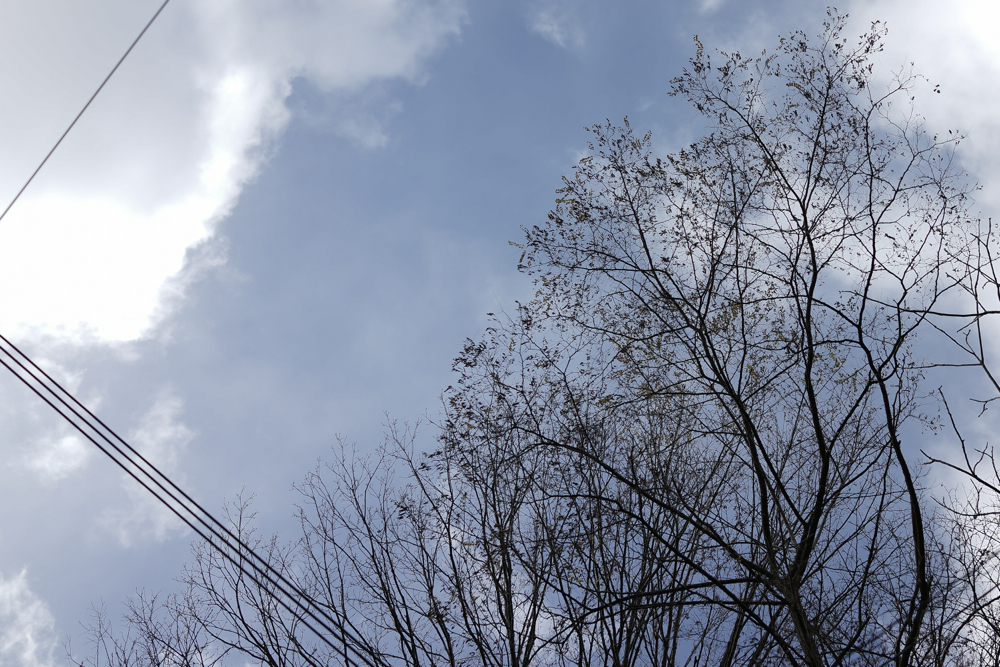 f:id:elmikamino:20141107095137j:image:w500