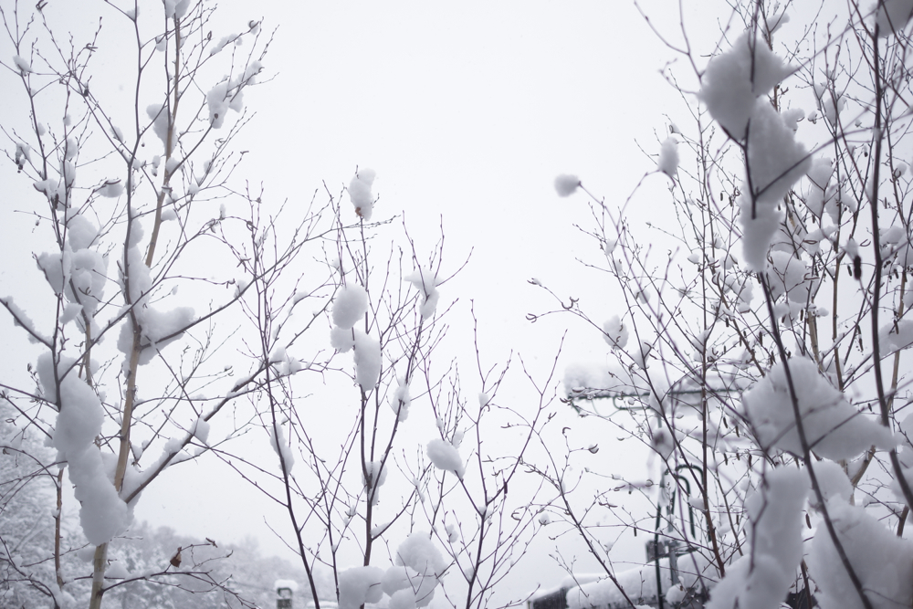 f:id:elmikamino:20141115100445j:image:w500