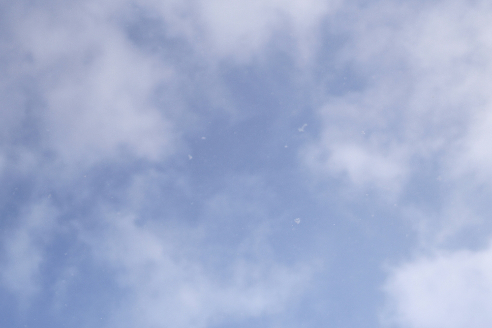 f:id:elmikamino:20141118093847j:image:w500