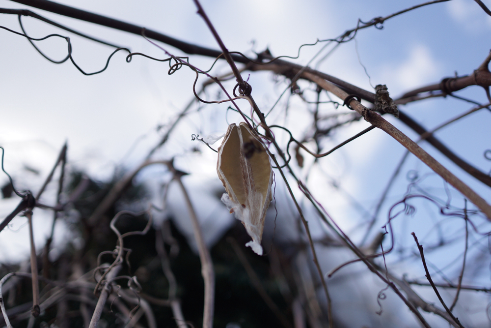 f:id:elmikamino:20141120115652j:image:w500