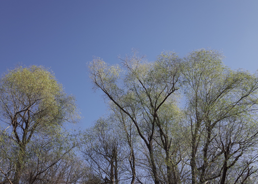 f:id:elmikamino:20141123125411j:image:w500