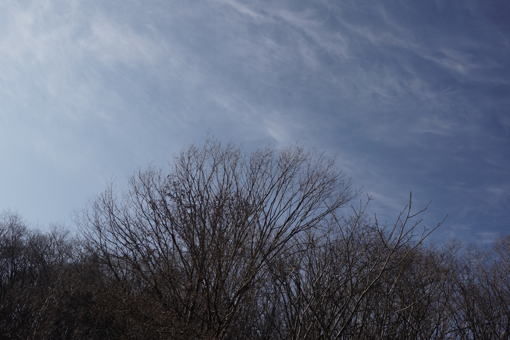 f:id:elmikamino:20141130093817j:image:w500