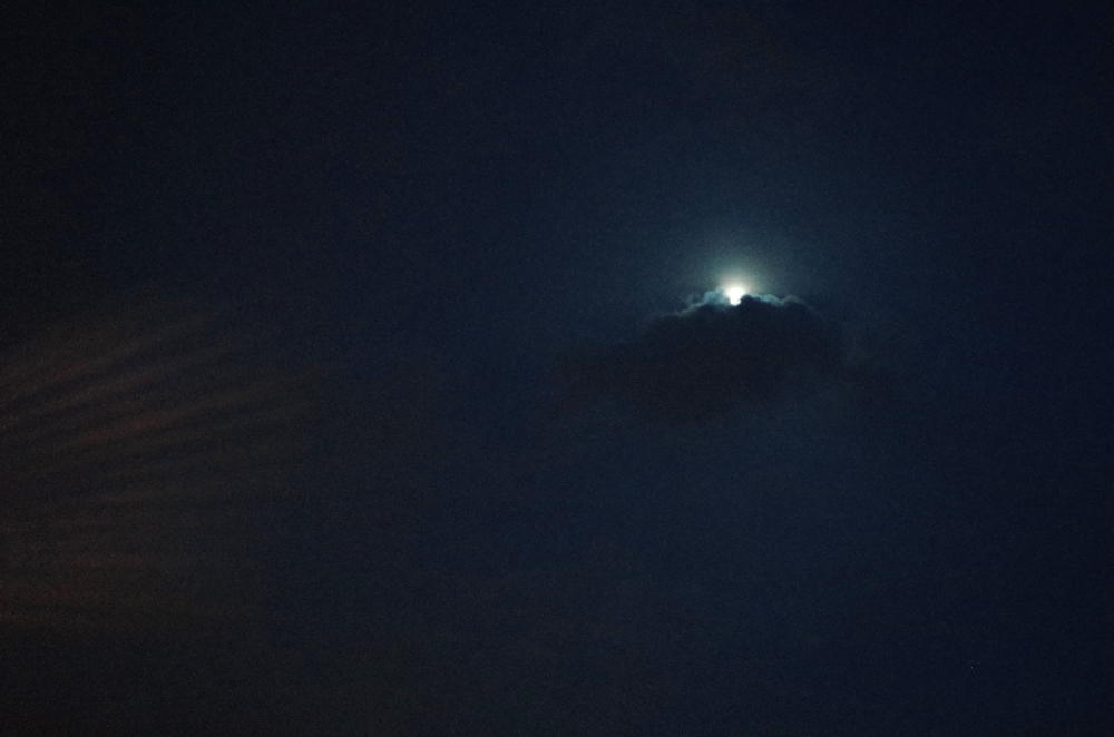 f:id:elmikamino:20141203163935j:image:w500