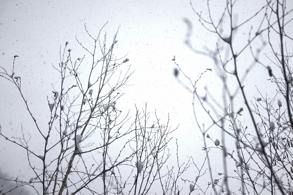 f:id:elmikamino:20141213121233j:image:w500