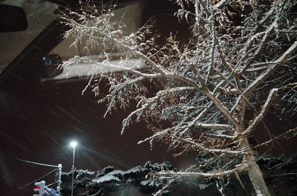 f:id:elmikamino:20141213214934j:image:w500