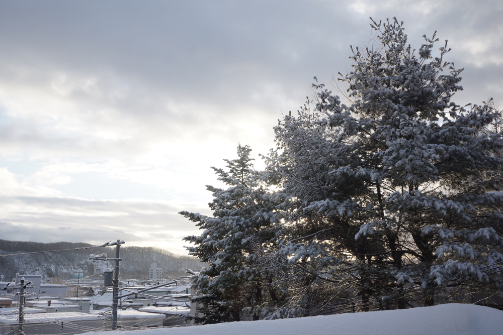f:id:elmikamino:20141219075554j:image:w500