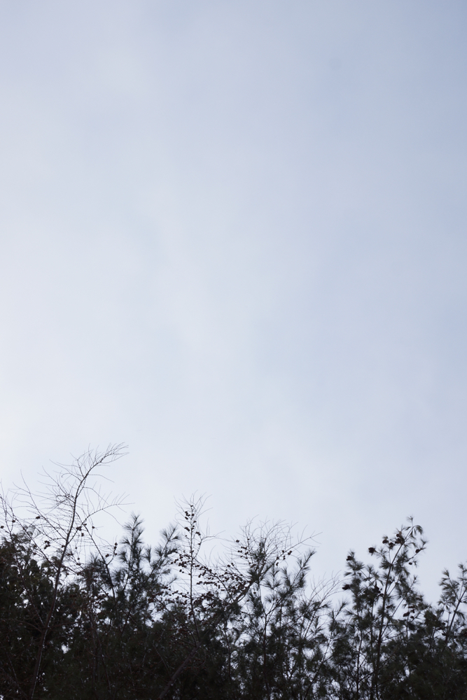 f:id:elmikamino:20141222084607j:image:h500