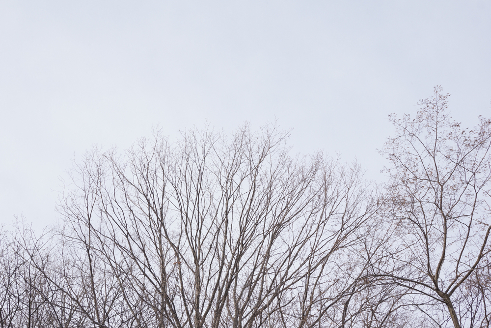 f:id:elmikamino:20141222084651j:image:w500