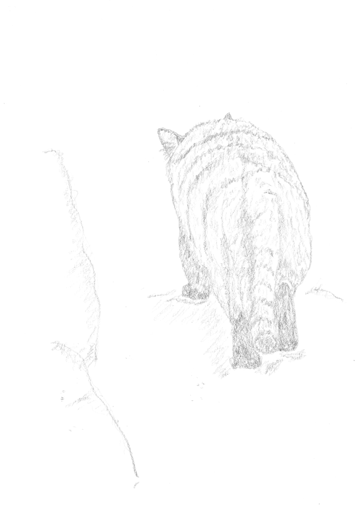 f:id:elmikamino:20141225225444j:image:w333