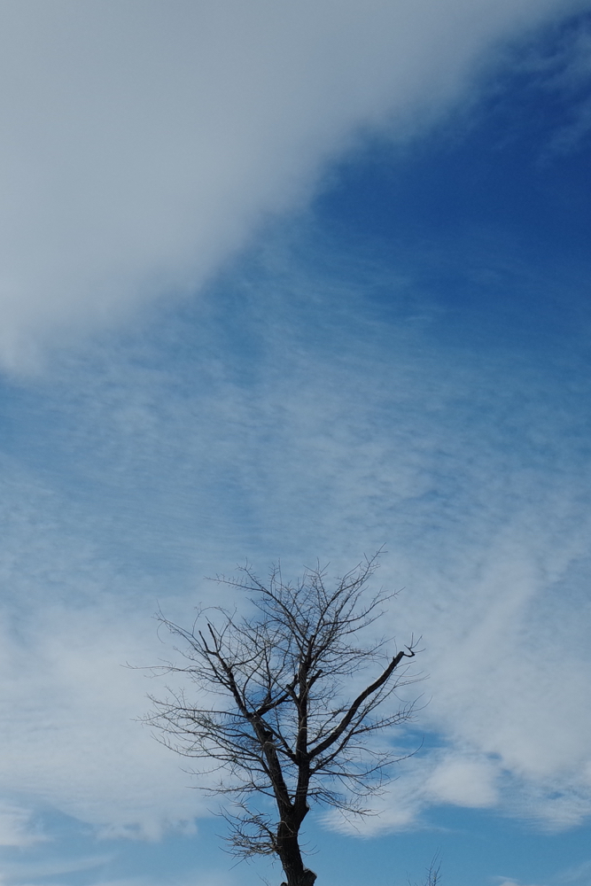 f:id:elmikamino:20141226125417j:image:h500