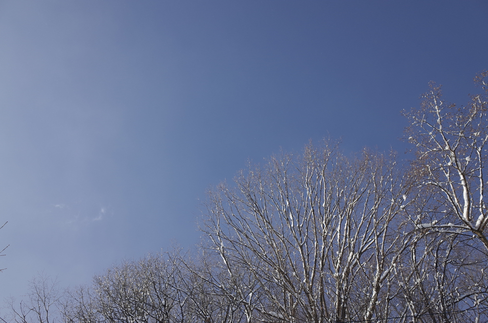f:id:elmikamino:20141227092109j:image:w500