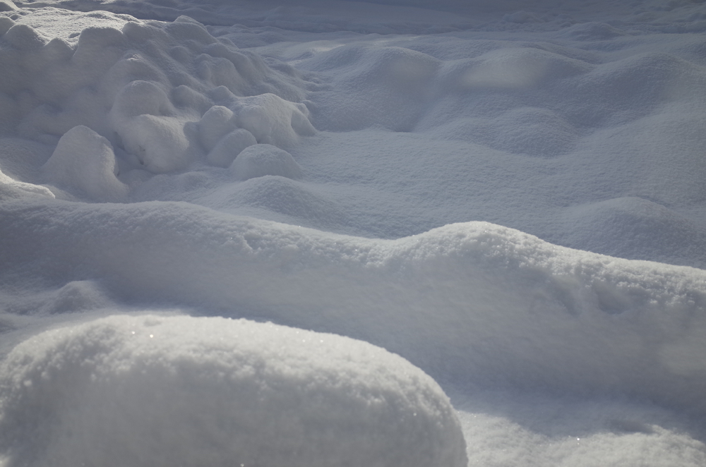 f:id:elmikamino:20141227092621j:image:w500