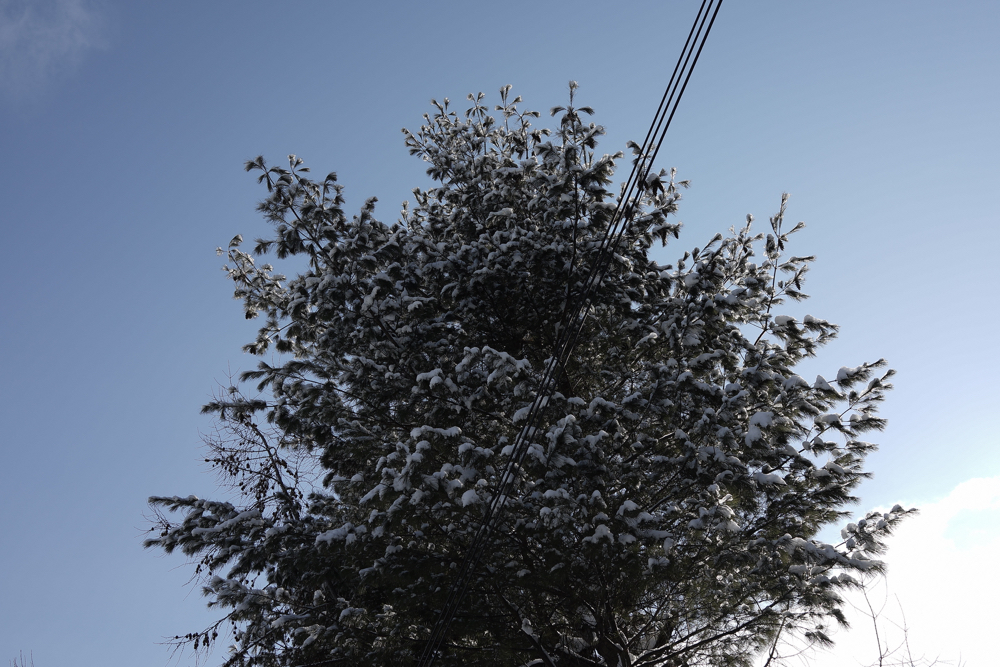 f:id:elmikamino:20150125091830j:image:w500