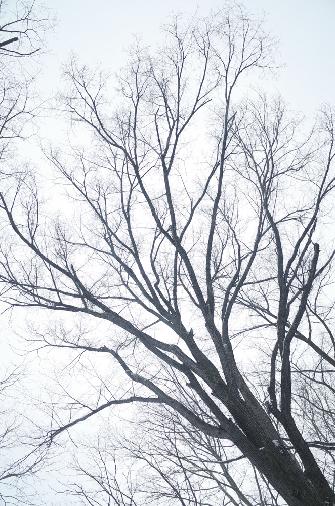 f:id:elmikamino:20150312164614j:image:h500