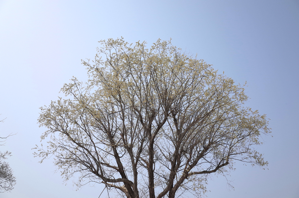 f:id:elmikamino:20150328131048j:image:w500