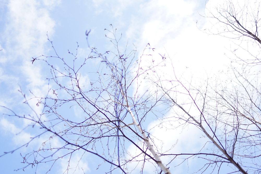 f:id:elmikamino:20150411095814j:image:w500