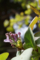 20150503112047