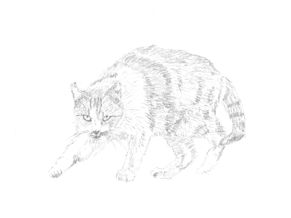 f:id:elmikamino:20150512212754j:image:w500