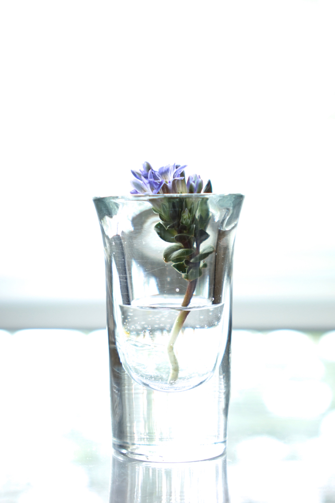 f:id:elmikamino:20150518165500j:image:h500